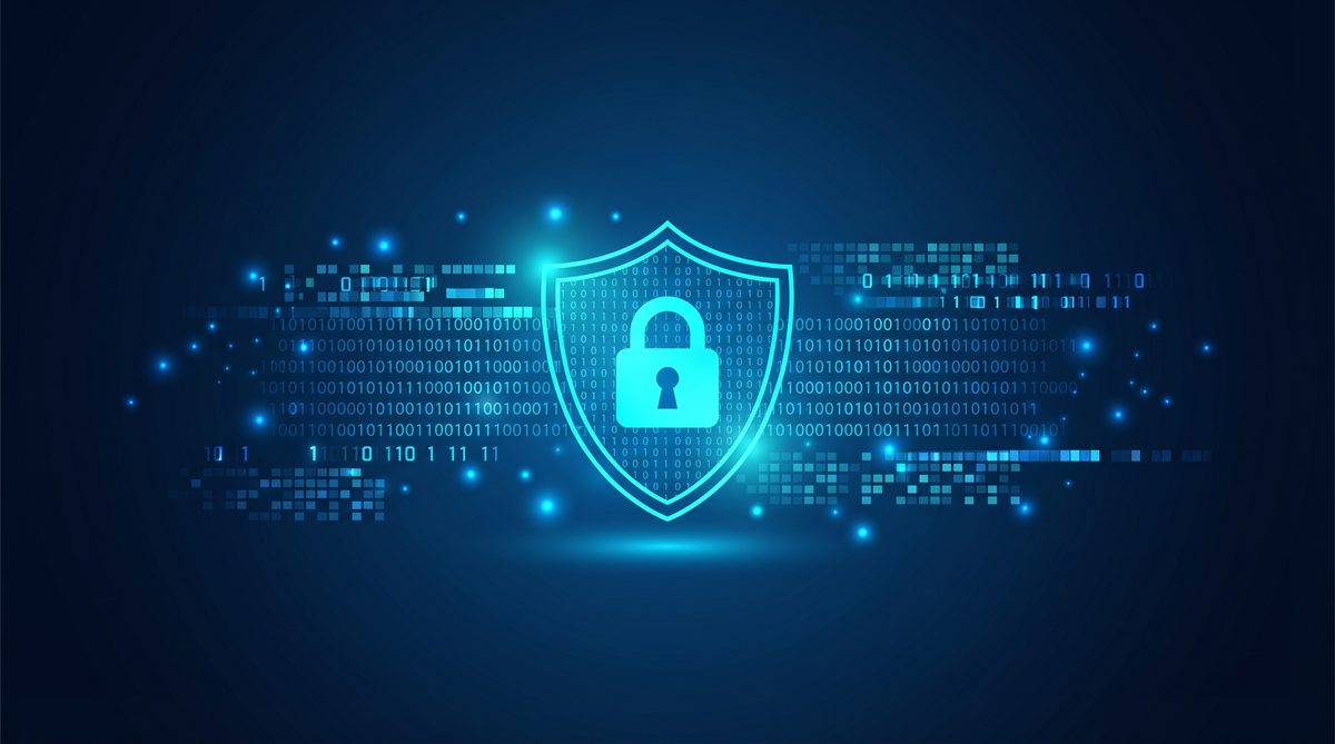 植树加速器隐私安全保护